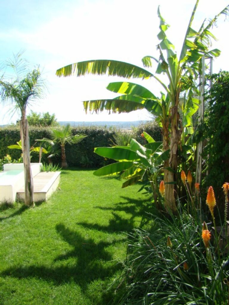 villa californie montbazin palmiers piscine location vacances